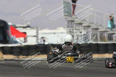 media/Mar-29-2025-Pro Autosports (Sat) [[89b1c017ad]]/6-Purple Group/Qualifying Session/